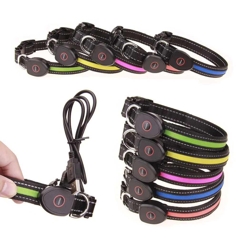GlowSafe™ USB Rechargeable LED Dog Collar