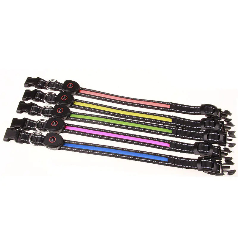 GlowSafe™ USB Rechargeable LED Dog Collar