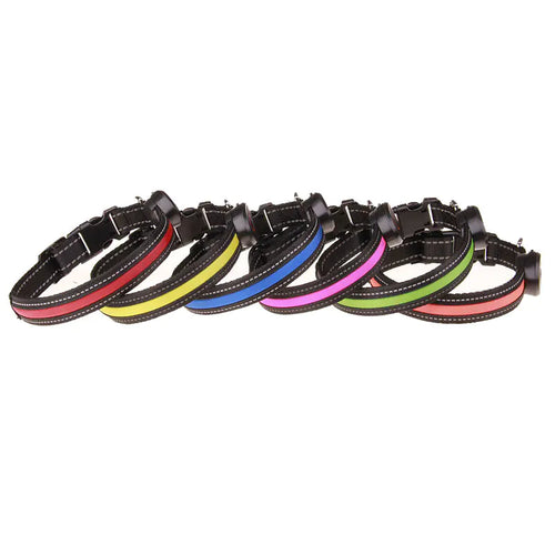GlowSafe™ USB Rechargeable LED Dog Collar